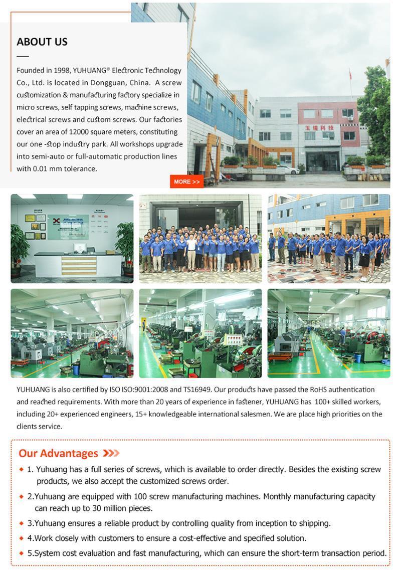 All Kinds of High Quality Nuts, Nuts Factory