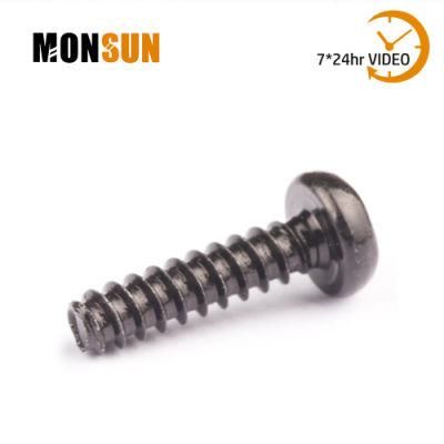 Black Torx Drive Pan Head Type B Self Tapping Screw