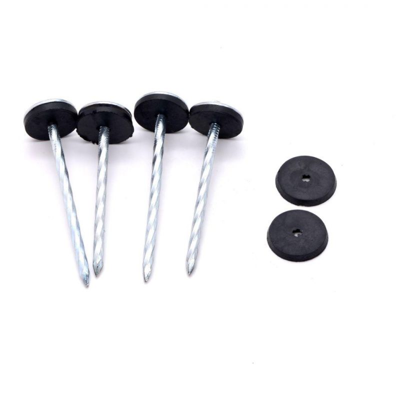 Nigeria Angola Zambia Namibia Market/Umbrella Roof Nails Plastic Roofing Nails Roofing Nails Umbrella Head