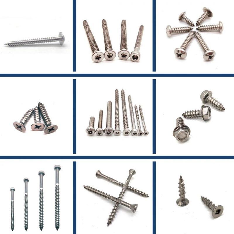 SS304 Stainless Steel 316 Hex Washer Flange Self Tapping Bi-Metal Screws with EPDM Washer