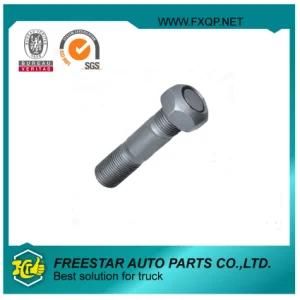 Grade 10.9/12.9 Rust Proof Bolt Manufacturer Bolt and Nut