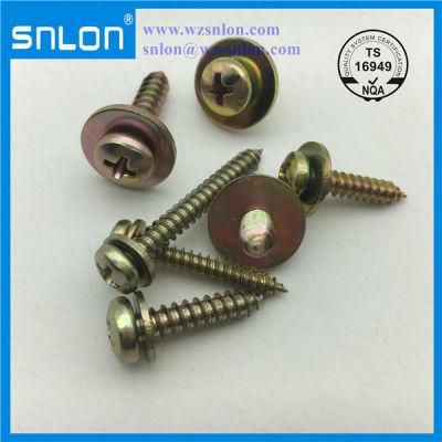 Cross Recessed Phillip Head Tapping Screw with Large Washer Drywall Screw