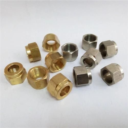 Stainless Steel Small Hex Nuts Nipple for Injection Mold Parts