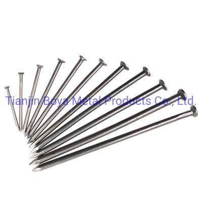 Best Quality Carbon Steel Common Iron Nail/Galvanized Nail/Building Nail/Hardware