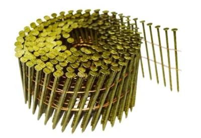 Professional Coil Nail Pallet for Wood Case Gun Nail