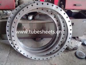 Stainless Steel / Carbon Steel Forged Flange