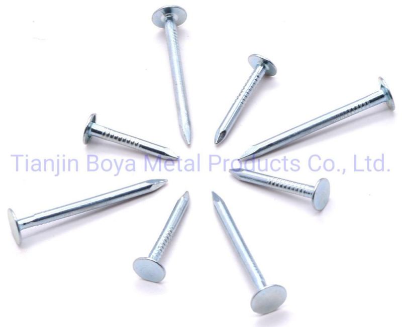 China Premium Quality Building Materials Mechanical Galvanised Smooth Shank Clout Nail