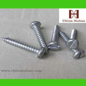 Pan Head Self Drilling Screws Zinc Galvanized Cross Drive