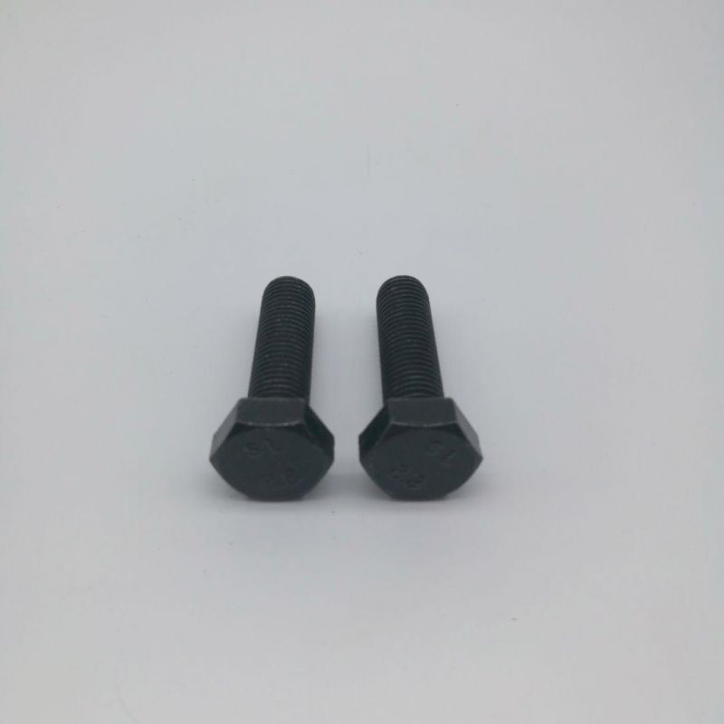 Hex Cap Screw Hexagon Head Bolt Class8.8
