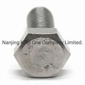 SS304 Hexagon Head Bolt Heavy Hex Structural Fastener M12*100mm