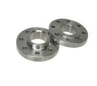 Ss Stainless or Carbon Steel Pipe Fitting Forged Flange Manufacturer