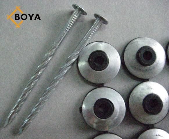 Galvanized Assembled Roofing Screw Nails with Washer
