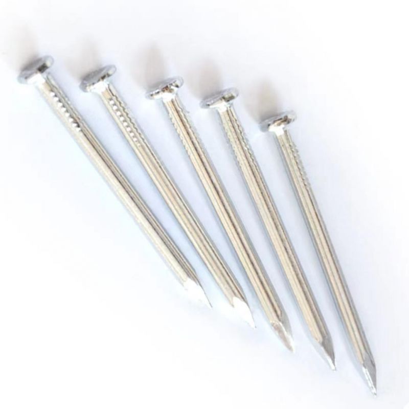 1/2"-6" E. G Concrete Nails/Steel Nails /Hard Nails/ Masonry Nails