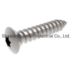 Torx Driver Raised Countersunk (Oval) Head Self Tapping Screws