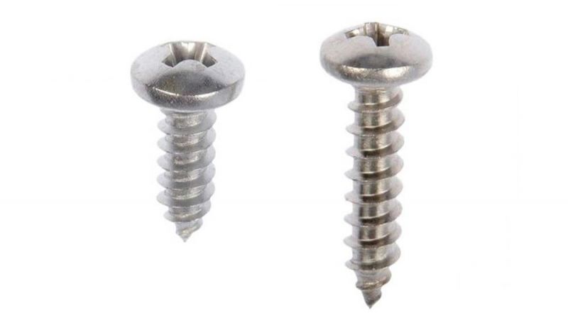 Stainless Steel Phillips Cross Recess Pan Head Self Tapping Screw/Sheet Metal Screws Made in China