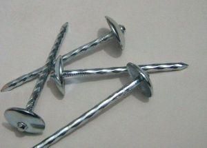 Galvanized Coiled Roofing Nails (professional direct factory&manufacturer)