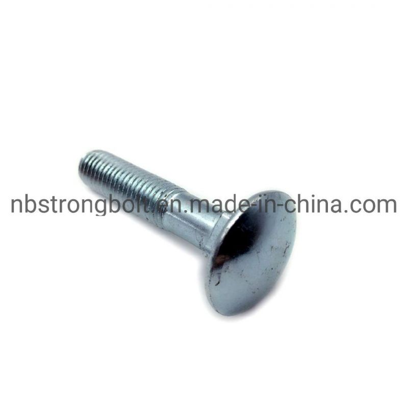 Carriage Bolt From China