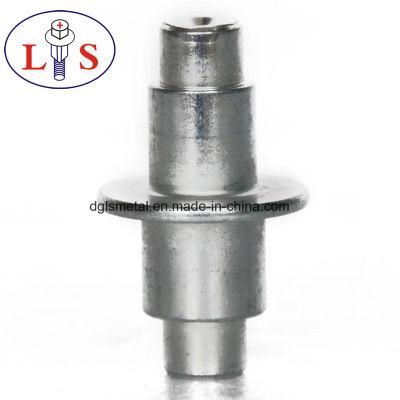 Factory Direct Sales of Stainless Steel Rivets/ Non-Stardard Rivets