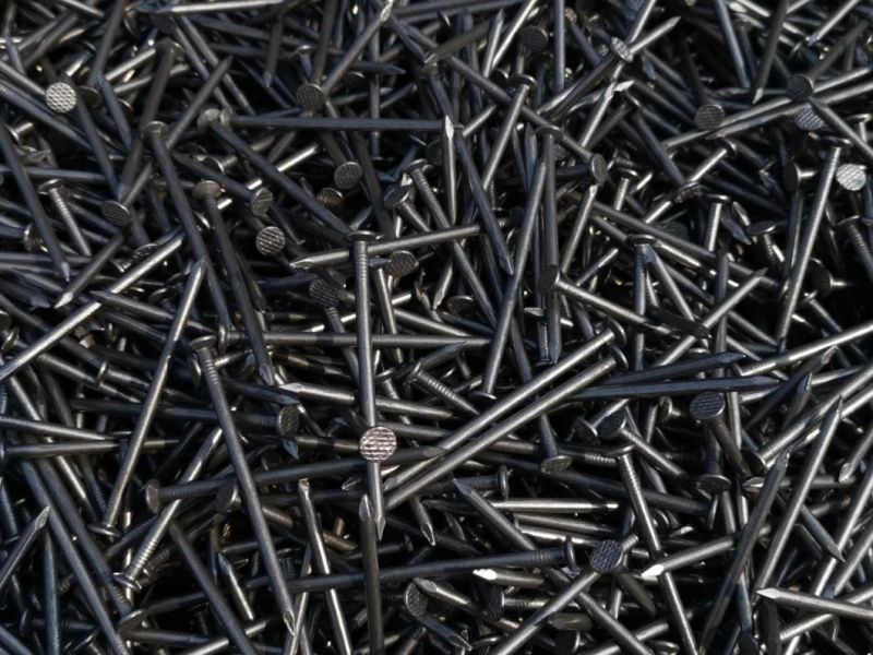 Tianjin Factory Direct Zinc Plated Self-Drilling Screw