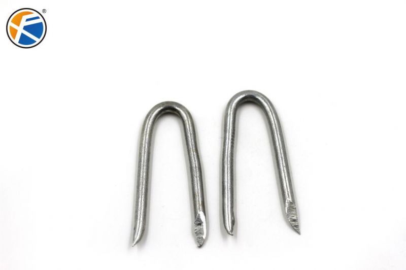 65mn Steel Galvanized U Shaped Nails