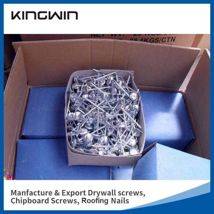 China Wholesale Galvanized Smooth / Twisted Shank 9bwg X 2.5"10bwg X 2" 12bwg 7lbs 8boxes 3.125kg / Box Umbrella Head Roofing Nails