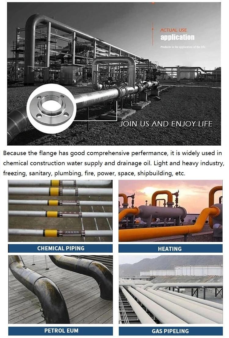 China Manufacturer Ss 304L 316L Stainless Steel/Carbon Steel A105 Forged/Slip-on/Blind /Welding Neck Flanges