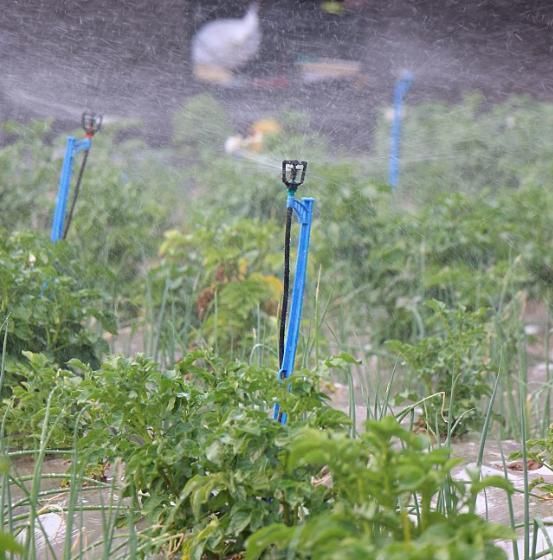 Factory Direct Selling 3.0bar 360 Gear Drive Standing Micro Sprinkler Farm Irrigation System System Water Sprinkler System