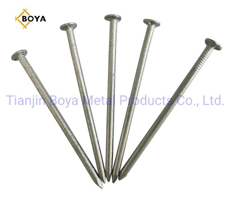 Q195 Polished Common Nail/Galvanized Iron Nail/Steel Nail/Concrete Nail/Metal Wire Nail/Building Nail for Construction