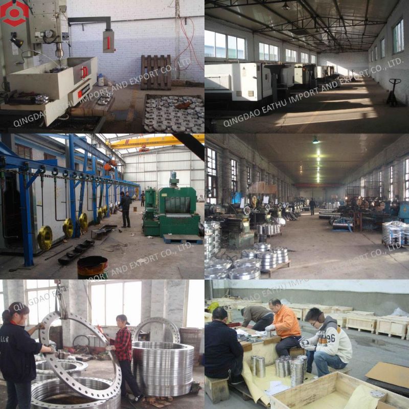 ANSI B16.5/En1092-1/DIN Carbon Steel Stainless Steel RF/FF Wn So Bl Forged Steel Flange
