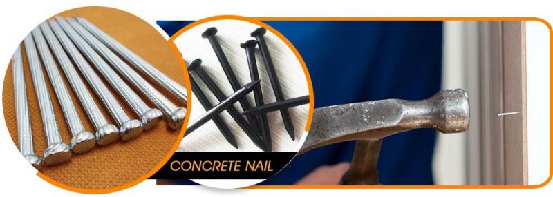 Zinc Coated Steel Concrete Nail for Guangzhou