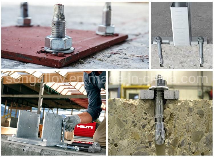 Stainless Steel Expansion Bolt 304 Expansion Anchor Bolt and Nut Wedge Expansion Bolt
