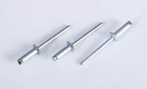 Dongguan, China Manufacturer&prime;s Batch Export Core Pulling Rivets