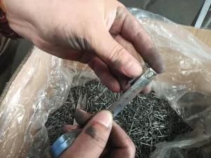 Factory Supply Common Nails 1&quot;-6&quot;
