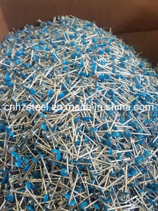 New Product Stock Common Wire Nail /Steel Concrete Nail / Twisted Nail