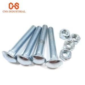 Stainless Steel Carriage Bolt (SS304 SS316)
