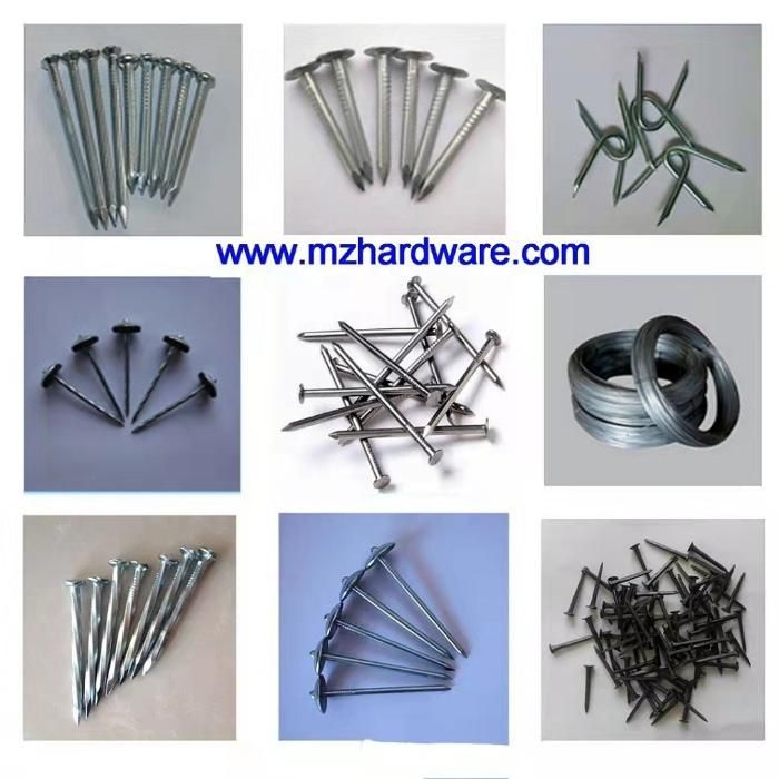 Bwg4-20 Polished Bright Galvanized Common Round Head Iron Wire Nail