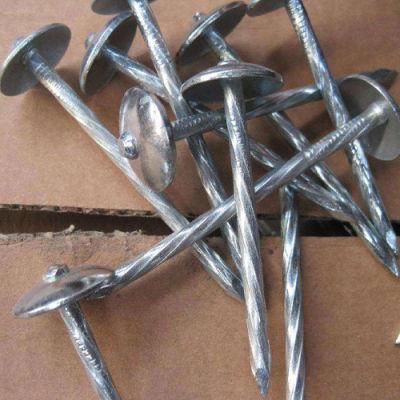 Roofing Nail with Electric Galvanizing/ Bwg9 X 2.5roofing Nail
