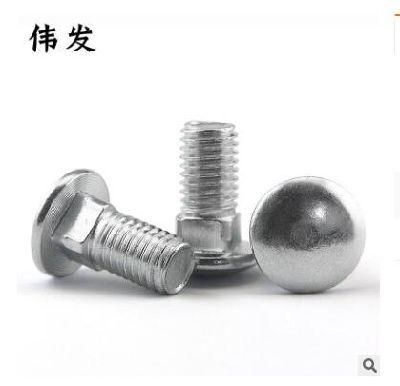 GB12 Stainless Steel 304 Carriage Screw Small Half Round Head Square Neck Bolt Shelf Screw M10 * 20-10 * 100