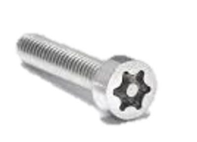 Cheese Head Torx Tamperproof Drive Fastener Carbon Stainless Steel Screw