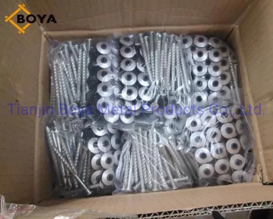 Galvanized Assemle Roofing Nail/Umbrella Nail/Pallet Nail/Iron Nail/Hardware/Building Nail