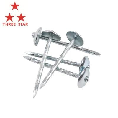 China Galvanized Umbrella Head Roofing Nails