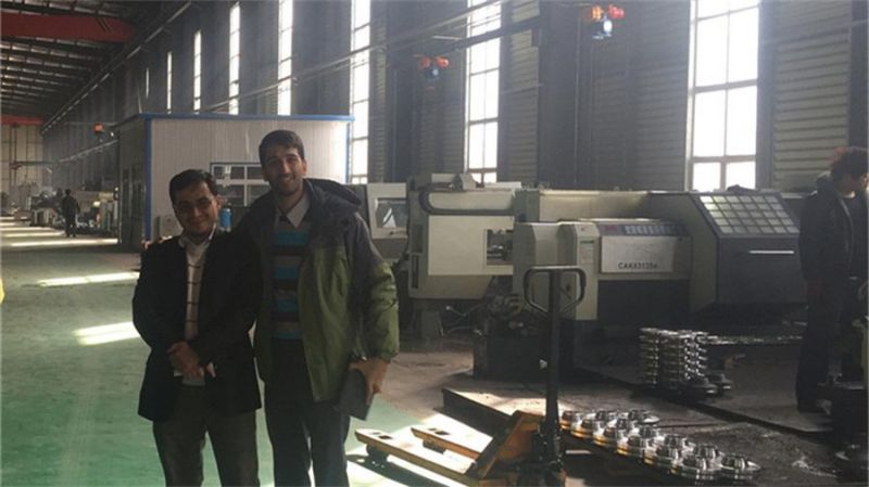 ASME/ANSI/DIN/En/GOST/BS/Uni/RF/FF/Rtj/150#-2500# Carbon Steel /Stainless Steel /Alloy Steel Forged Wn/So/Th/Pl/Sw/Lj/Bl Flange