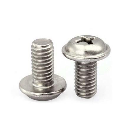 Stainless Steel SS304 SS316 Ball Head Bolts 18-8 Steel Slotted and Phillips Modified Truss Head Machine Screws