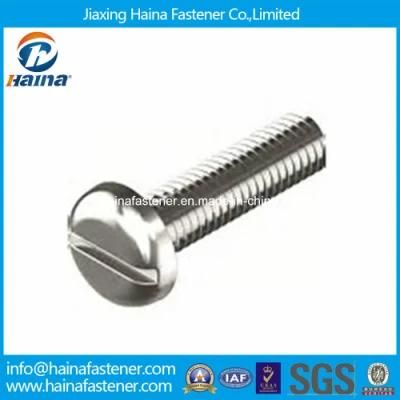DIN85 Stainless Steel A4 Pan Head Slotted Screw