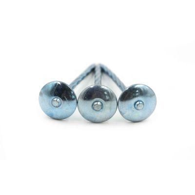Blue Galvanized Roofing Nails with Umbrella Head with Twisted/Smooth Shank