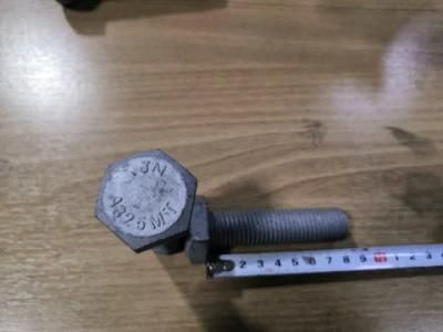 M20*70 A325 &amp; A490 Hex Bolt with A563 Hex Nut