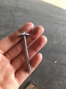 Galvanized and Polished Roofing Nail with Umbrella Head for Africa Market