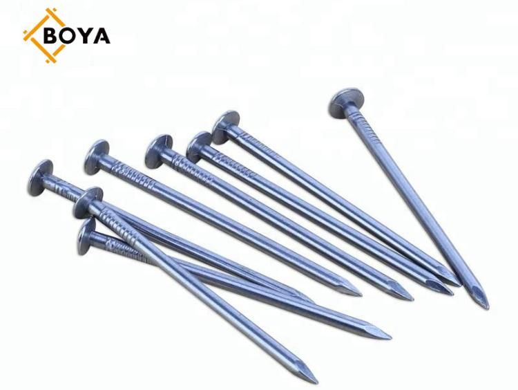 Common Nail 1"-6" with Q195