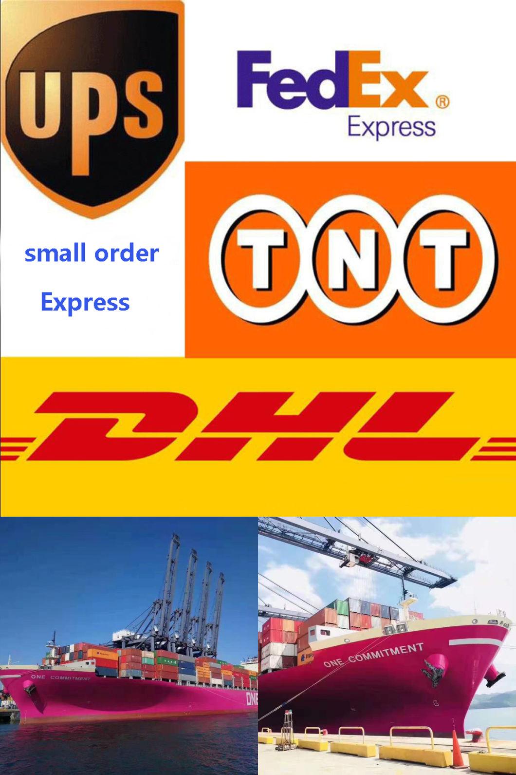Hot Selling Exporting Standard Coil Nails for Pallets