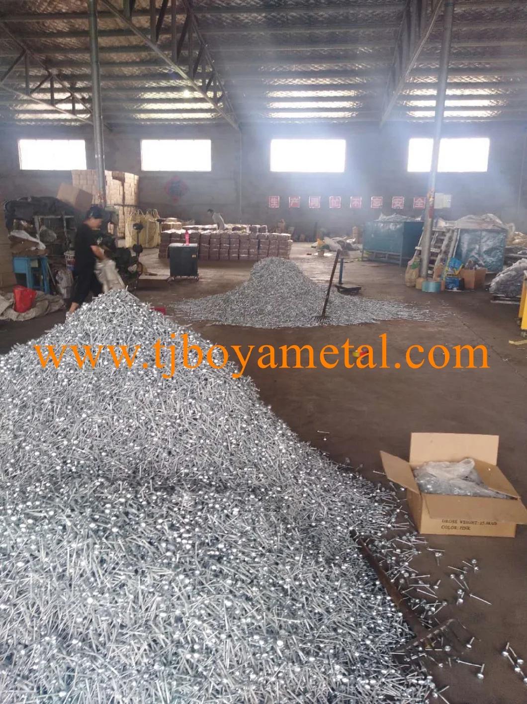 Color Umbrella Head Roofing Nail Umberlla Head Umbrella Type Roofing Nails Color Umbrella Head Roofing Nail with Washer From Factory